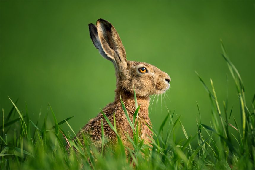 Ostern im Jagsttal