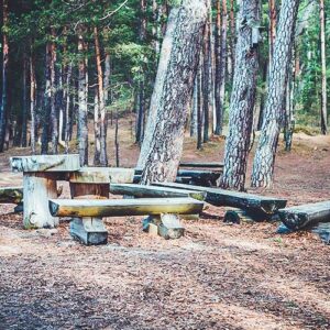 Bestuhlungsarten im Vergleich