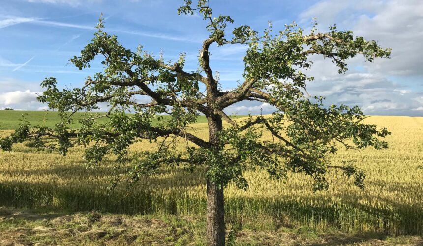 Erholung pur in Ailringen – Interview mit einer Fastenteilnehmerin
