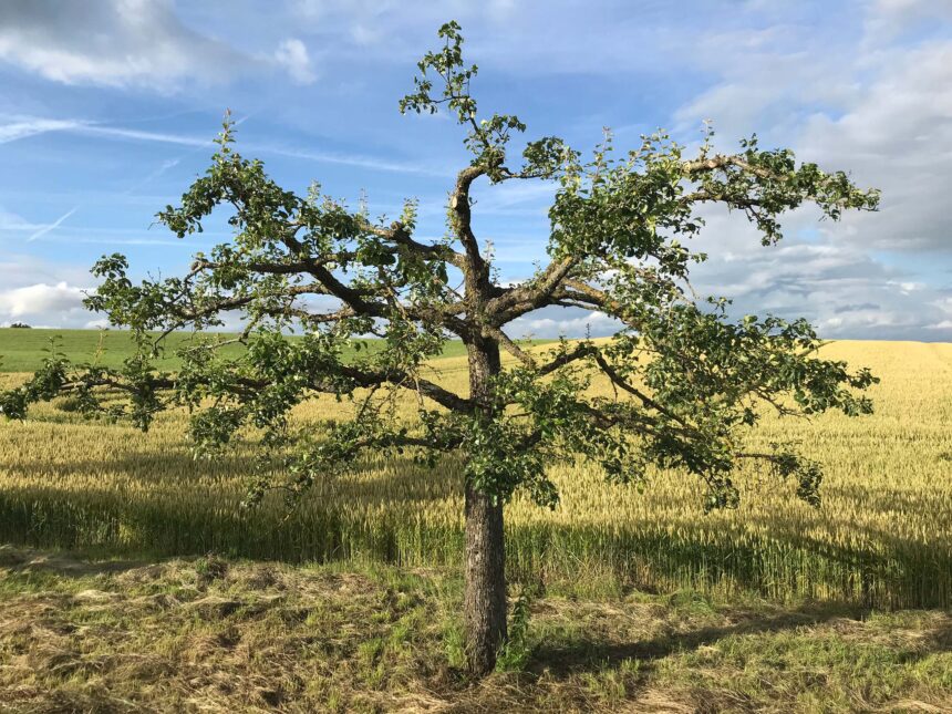 Erholung pur in Ailringen – Interview mit einer Fastenteilnehmerin